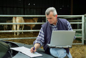 Agriculture Loans